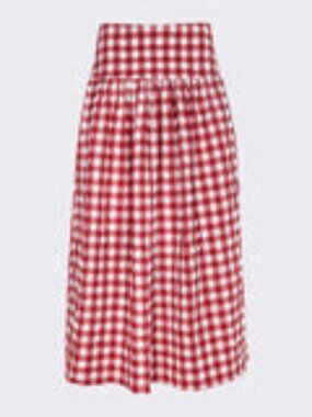 NWT - Wray Gingham Midi-Skirt